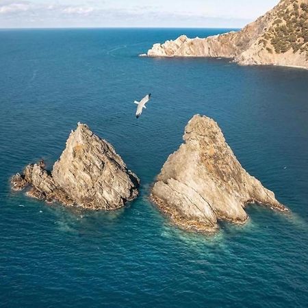 Appartement Pied Dans L'Eau La Seyne-sur-Mer Dış mekan fotoğraf
