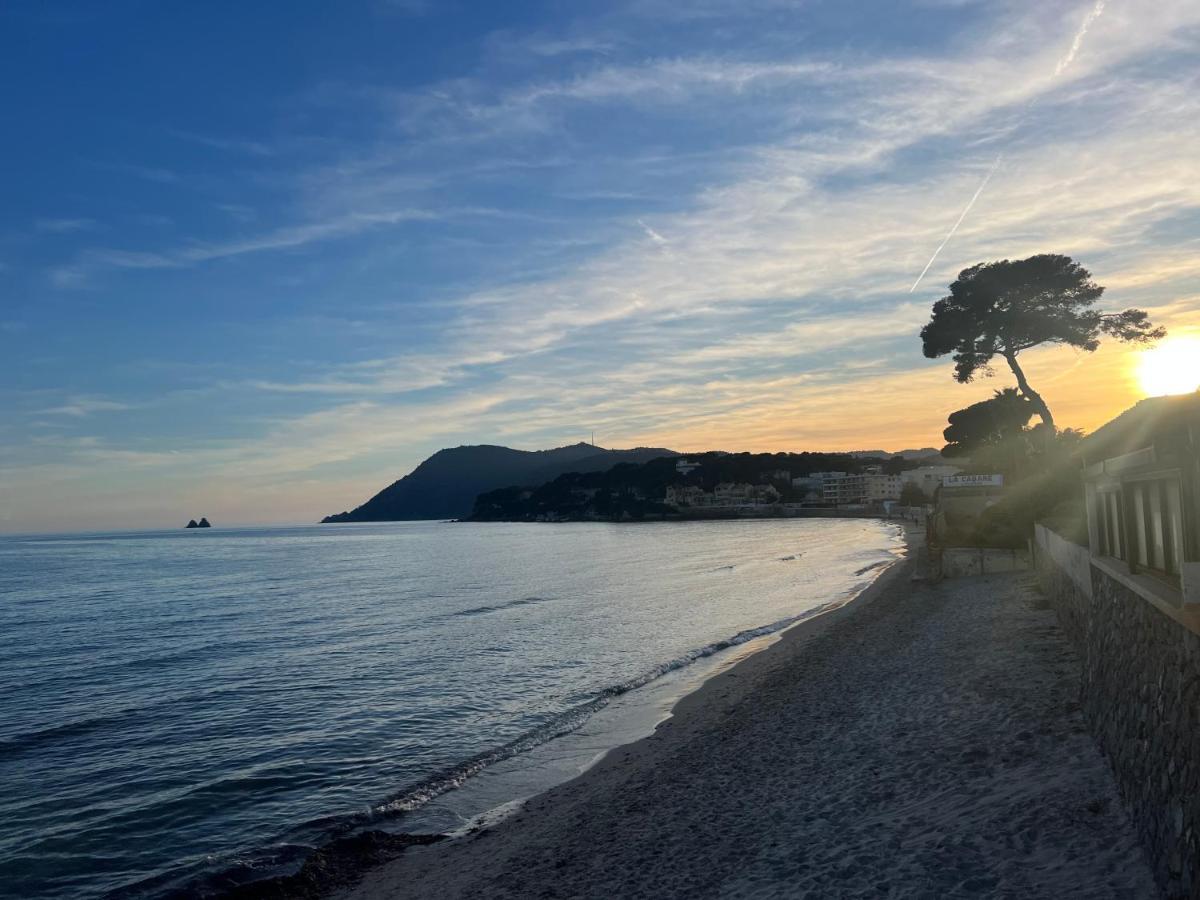 Appartement Pied Dans L'Eau La Seyne-sur-Mer Dış mekan fotoğraf