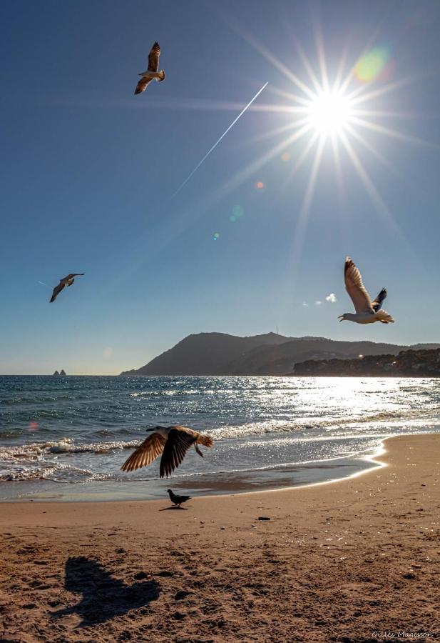 Appartement Pied Dans L'Eau La Seyne-sur-Mer Dış mekan fotoğraf