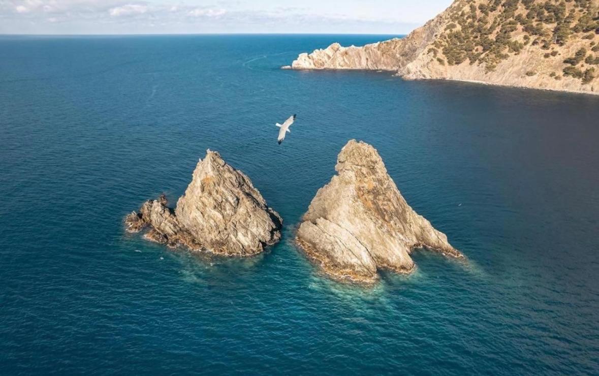Appartement Pied Dans L'Eau La Seyne-sur-Mer Dış mekan fotoğraf