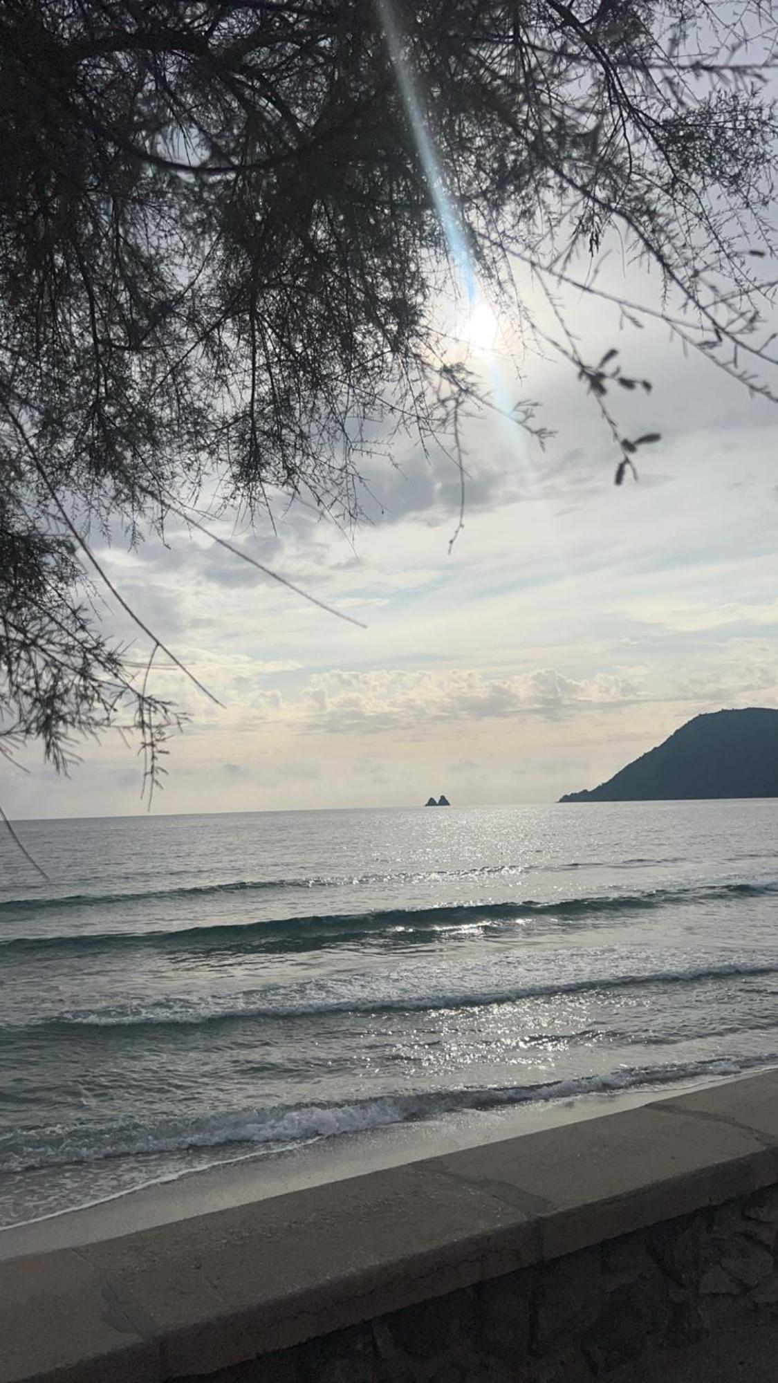Appartement Pied Dans L'Eau La Seyne-sur-Mer Dış mekan fotoğraf