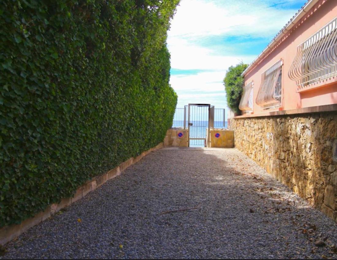 Appartement Pied Dans L'Eau La Seyne-sur-Mer Dış mekan fotoğraf